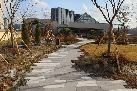 서울 서초구에 위치한 대법원 옥상 녹화사업후 사진. 사진제공=서울시